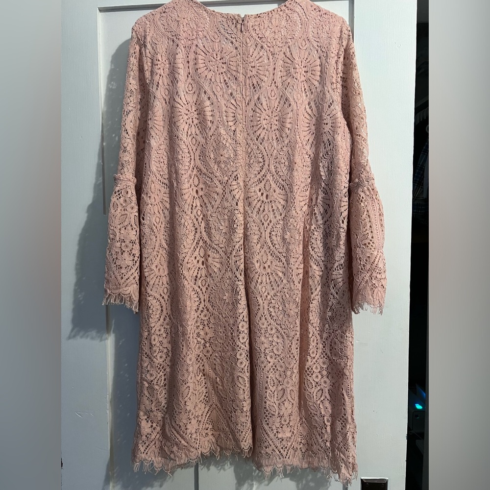 Lace Dress - Picture 2 of 2